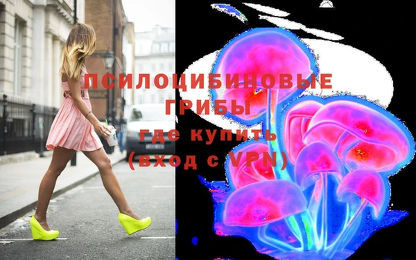 крисы Алзамай