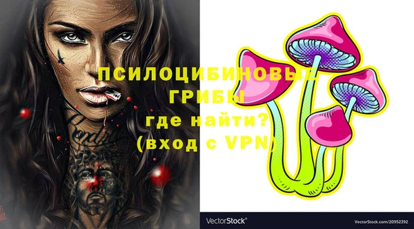 стаф Алексеевка