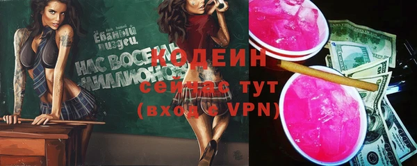 индика Карпинск