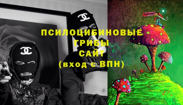 стаф Алексеевка