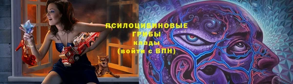 крисы Алзамай
