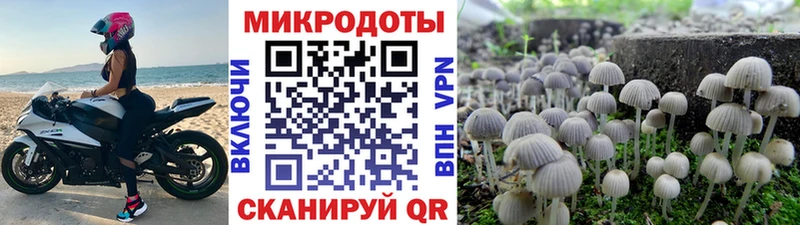 сколько стоит  мега маркетплейс  Псилоцибиновые грибы Magic Shrooms  Ревда 
